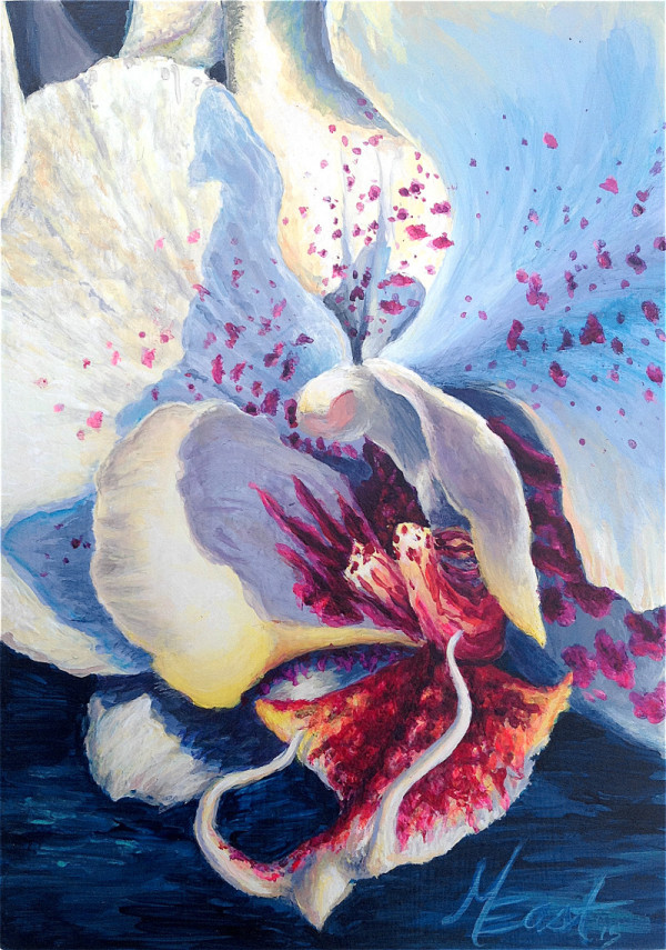White Orchid Prints Michelle East Art - How To Paint A White Orchid