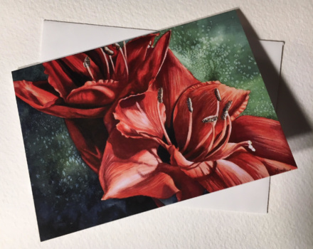 Im Alive Red Amaryllis Note Cards